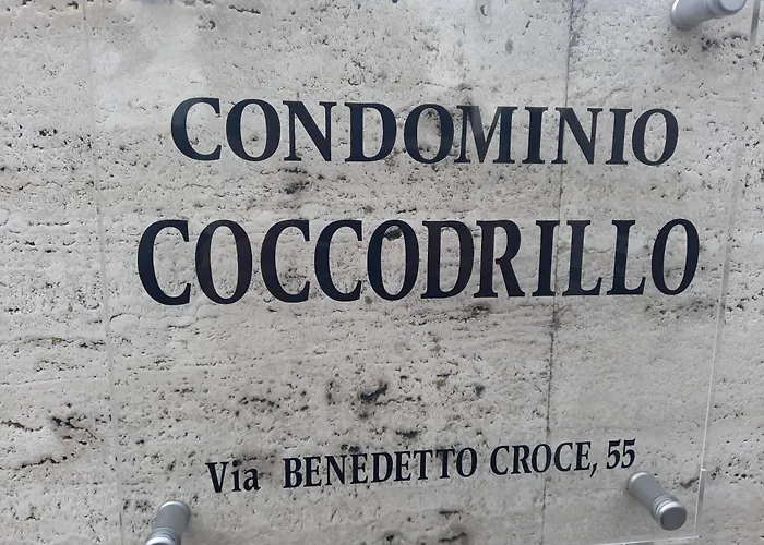 Il Coccodrillo