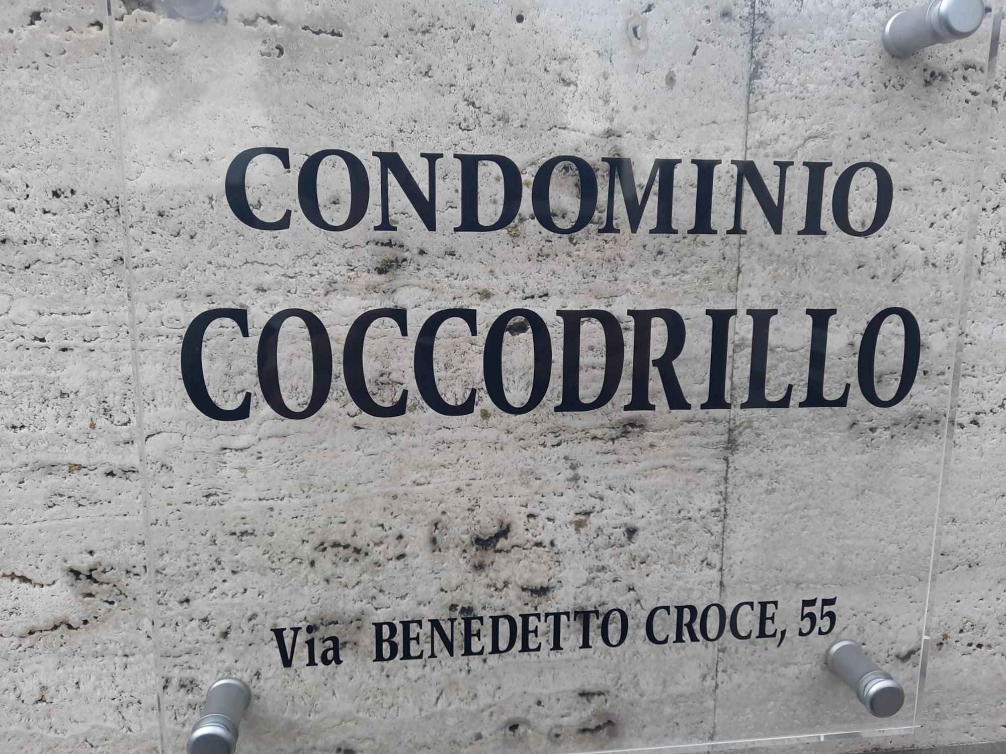 Il Coccodrillo Apartment